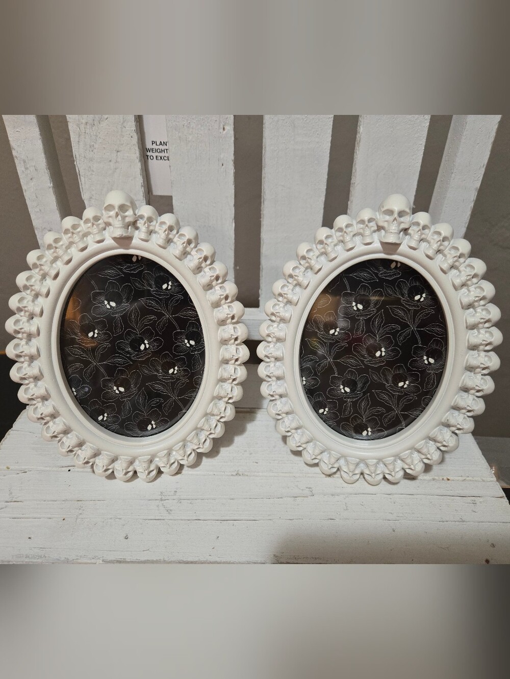 Target Halloween Skull Frames Set Of 2